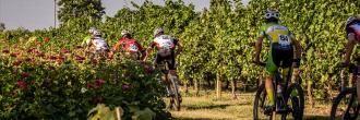 14° MTB Tra le Vigne del Ponte 2026